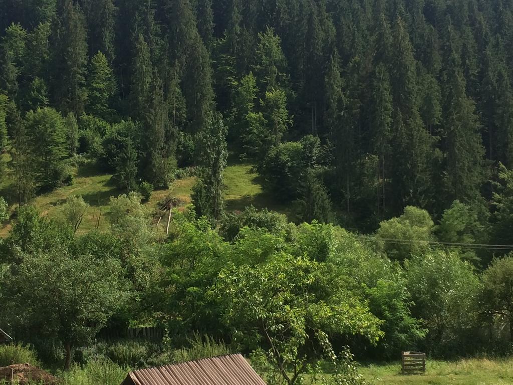 Casa De Vacanta Joldes Hotell Gîrda de Sus Rom bilde